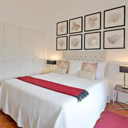 Apartment Carthusia