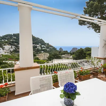 Carthusia * Capri
